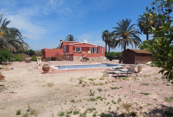 Country Property/Finca - Resale - San Miguel de Salinas - San Miguel de Salinas