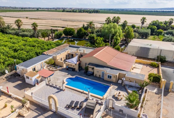 Country Property - Resale - Los Montesinos - Los Montesinos