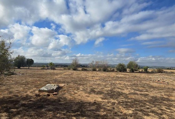 Country Property - Revente - Los Montesinos - Los Montesinos