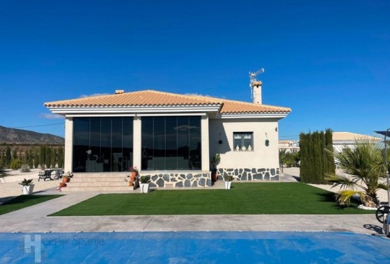 Detached Villa - New Build - Pinoso - el Pinós / Pinoso