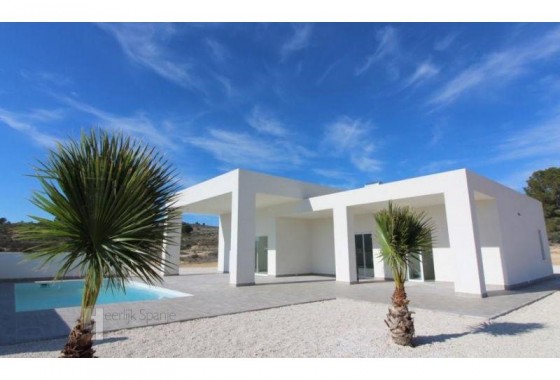 Detached Villa - New Build - Ubeda - el Pinós / Pinoso