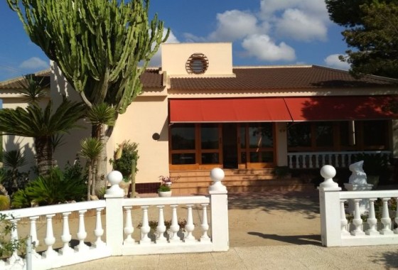 Detached Villa - Resale - Elche - Elche