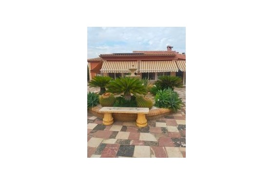 Detached Villa - Resale - Elche - Elche