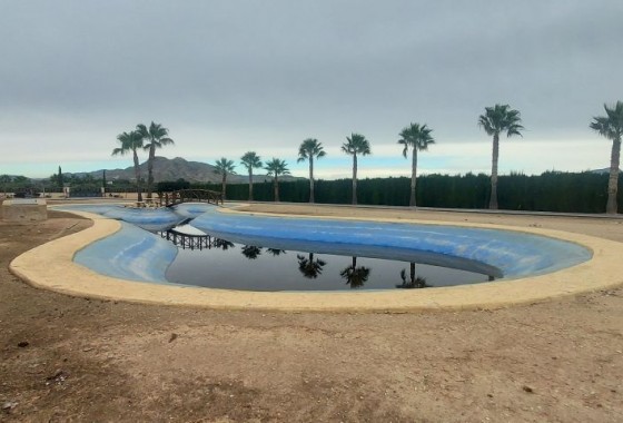 Detached Villa - Resale - Hondón de las Nieves - 123O-12239