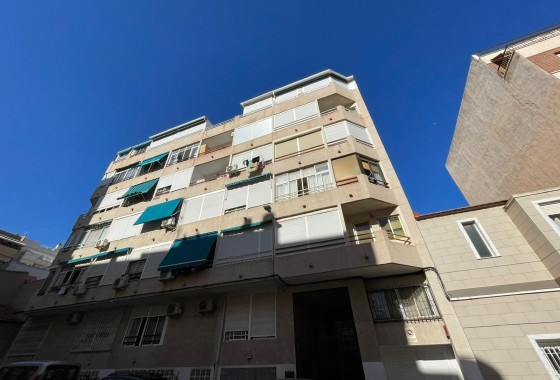 Estudio - Segunda Mano - Torrevieja - 123I-57727