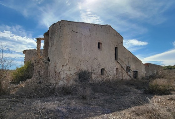 Finca / Country Property - Segunda Mano - San Miguel de Salinas - San Miguel de Salinas