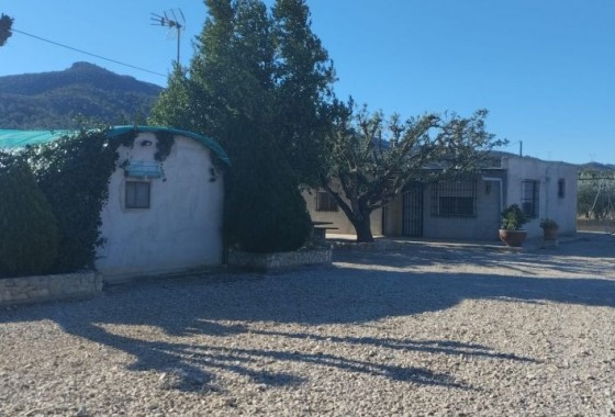 finca - Revente - Hondón de las Nieves - Hondón de las Nieves