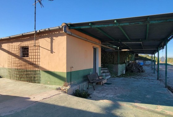 finca - Revente - San Miguel de Salinas - 123S-16150