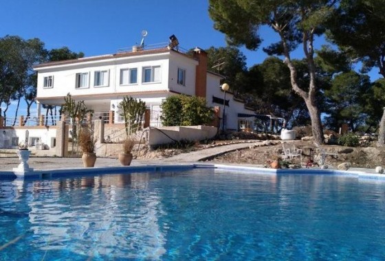 finca - Revente - Torrevieja - 123R-95980