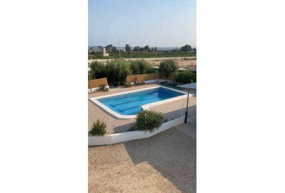 finca - Segunda Mano - Guardamar del Segura - Pueblo