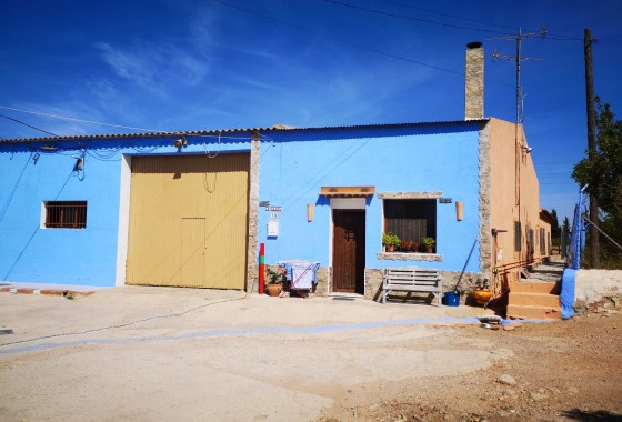 finca - Segunda Mano - Los Montesinos - Los Montesinos