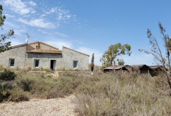 finca - Segunda Mano - Torremendo - Torremendo