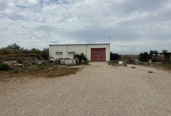 Industrial unit - Resale - Torremendo - Torremendo