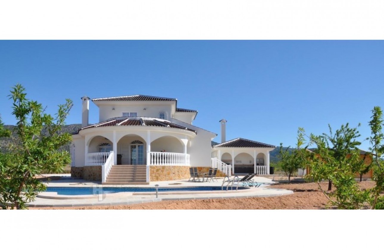 New Build - Detached Villa - Lel - el Pinós / Pinoso