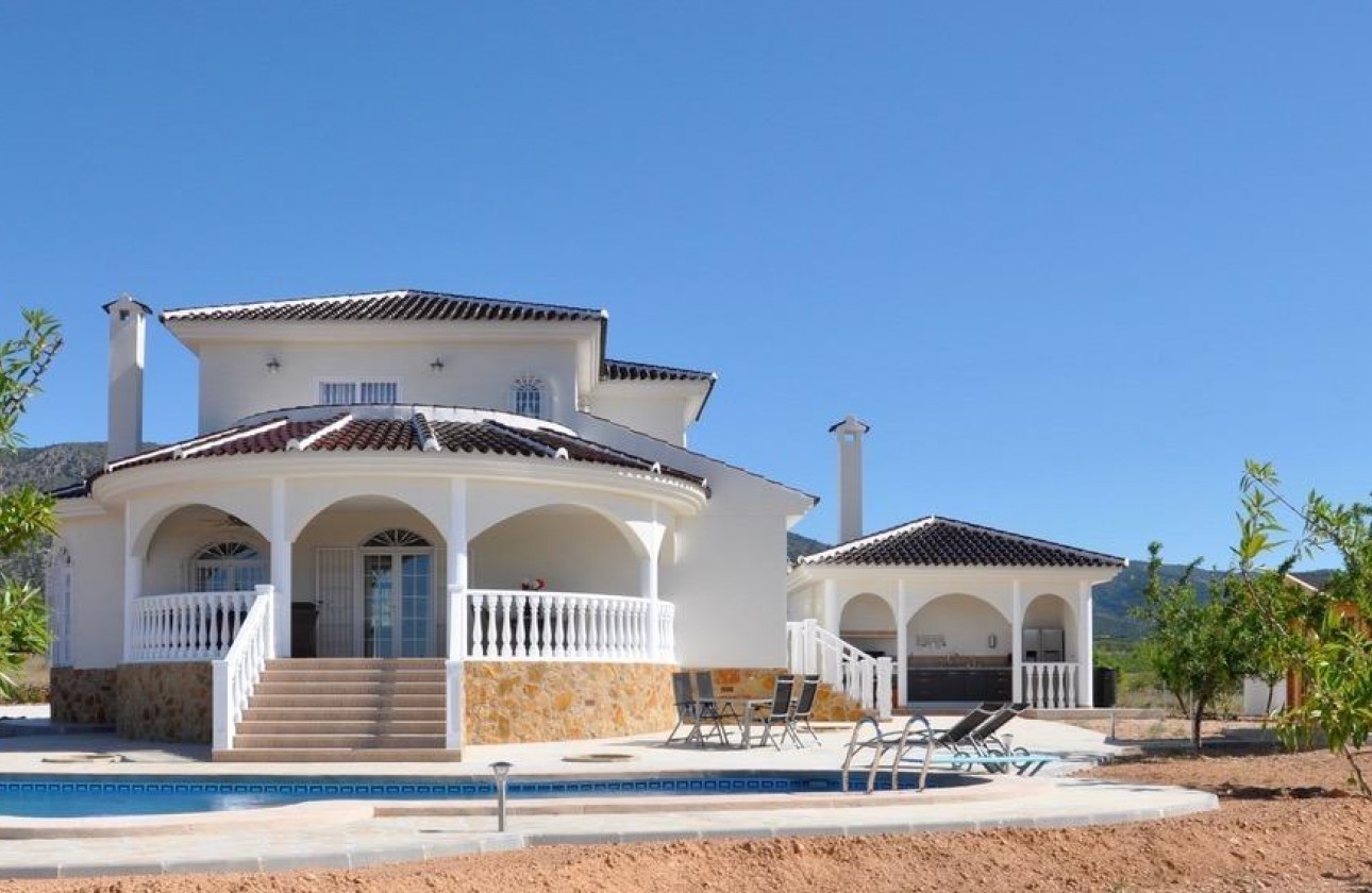 New Build - Detached Villa - Pinoso - Campo