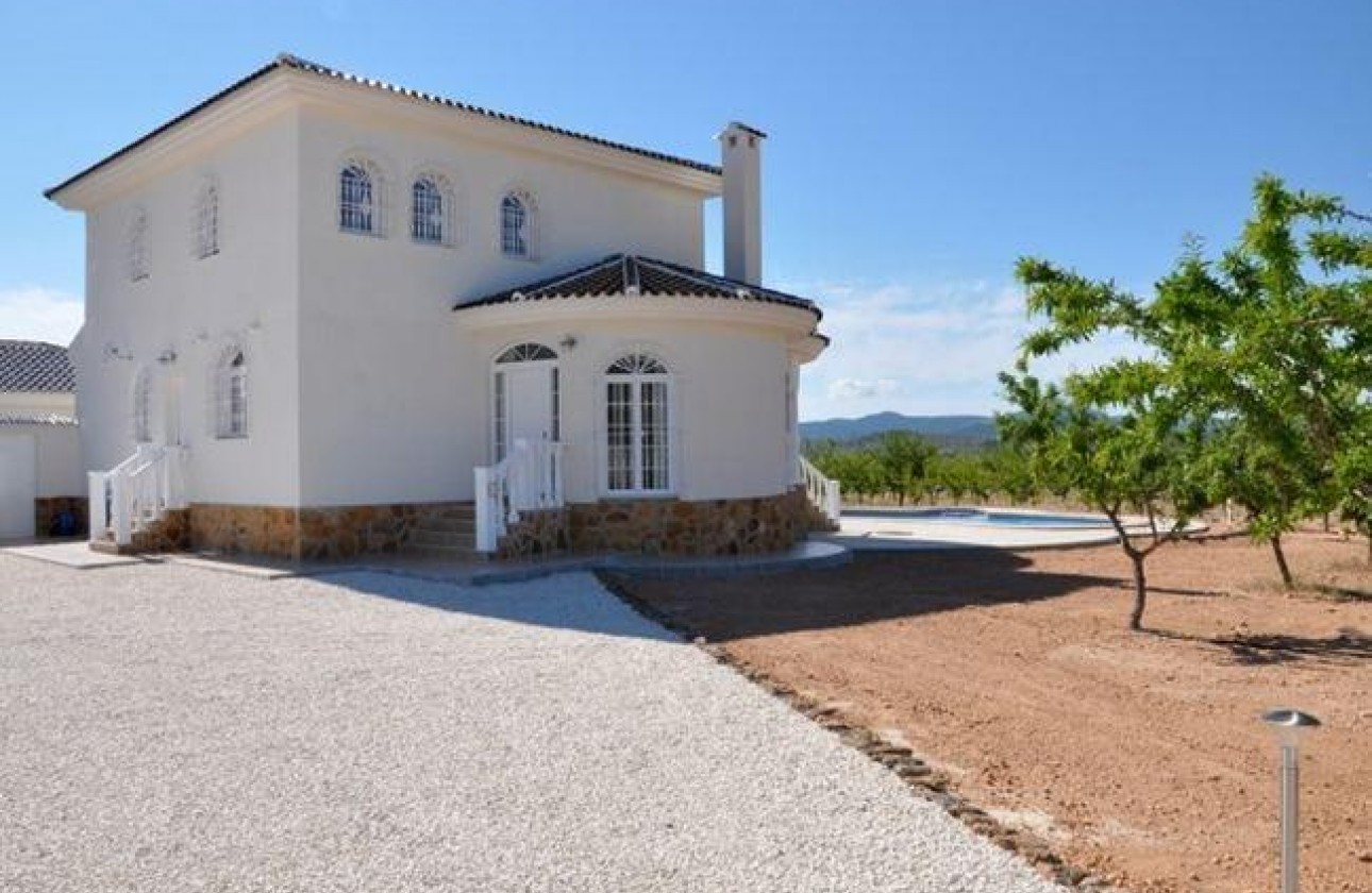 New Build - Detached Villa - Pinoso - Campo