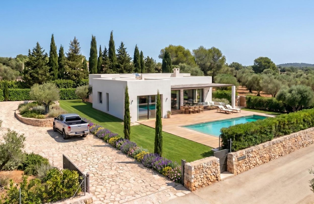 New Build - Detached Villa - Pinoso - Casas Pastor