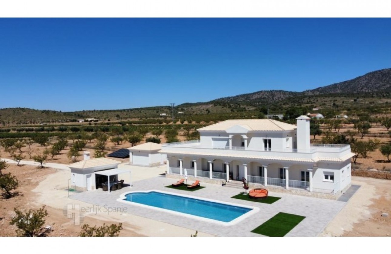 New Build - Detached Villa - Pinoso - el Pinós / Pinoso