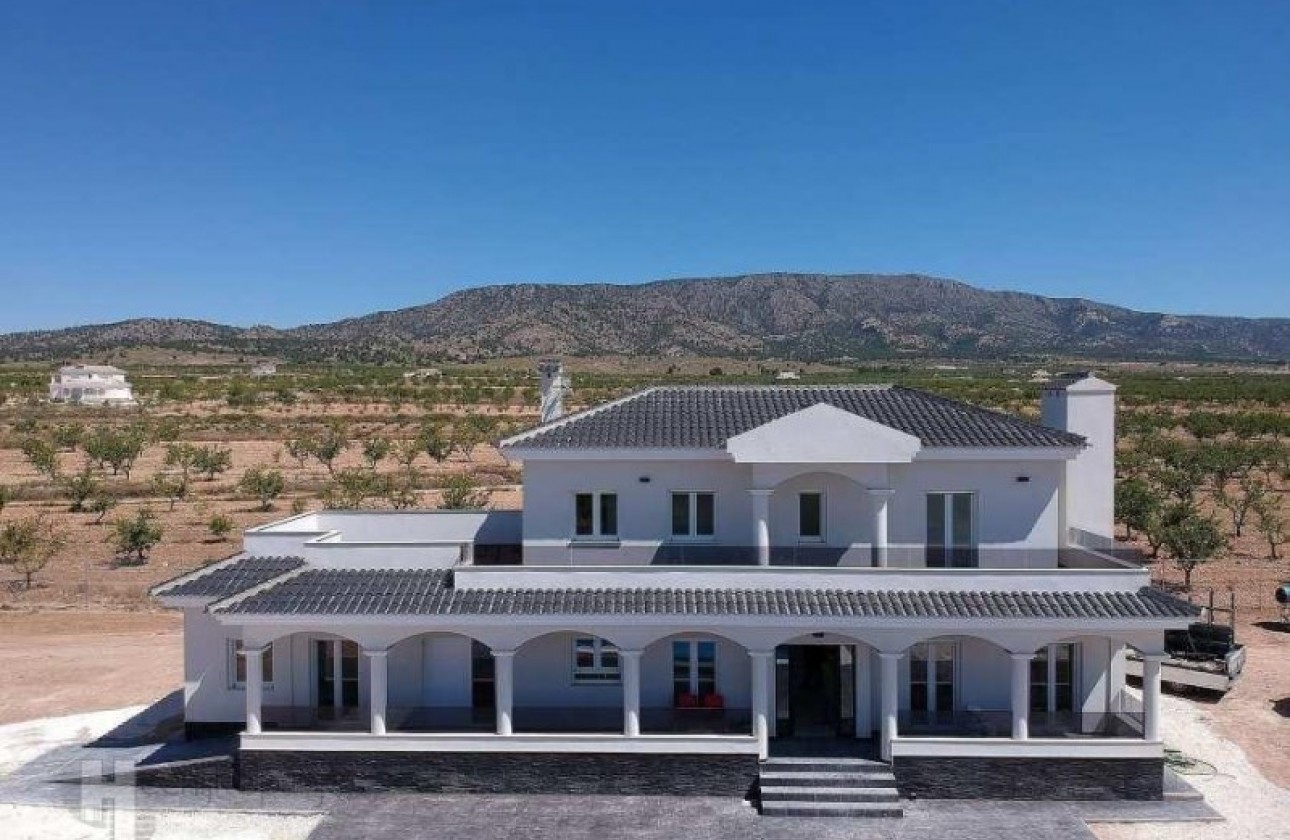 New Build - Detached Villa - Pinoso - el Pinós / Pinoso