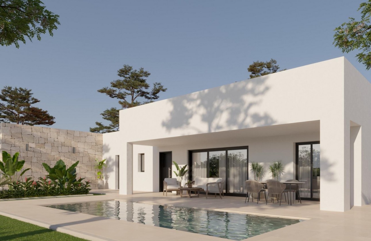 New Build - Detached Villa - Pinoso - Lel