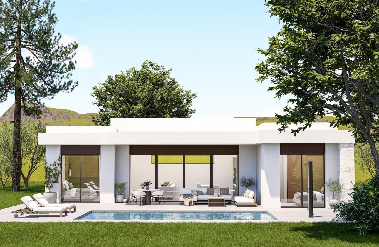 New Build - Detached Villa - Pinoso - Lel