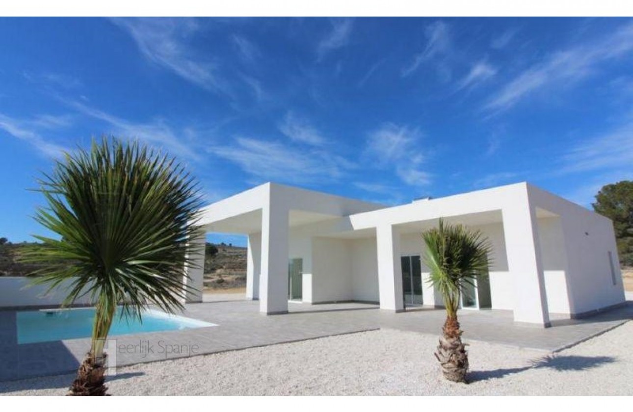 New Build - Detached Villa - Ubeda - el Pinós / Pinoso