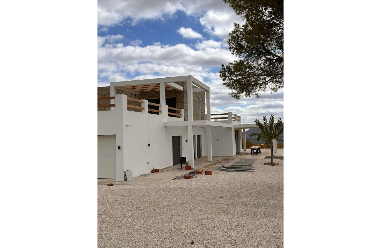Nouvelle construction - Villa - Pinoso - Casas Pastor