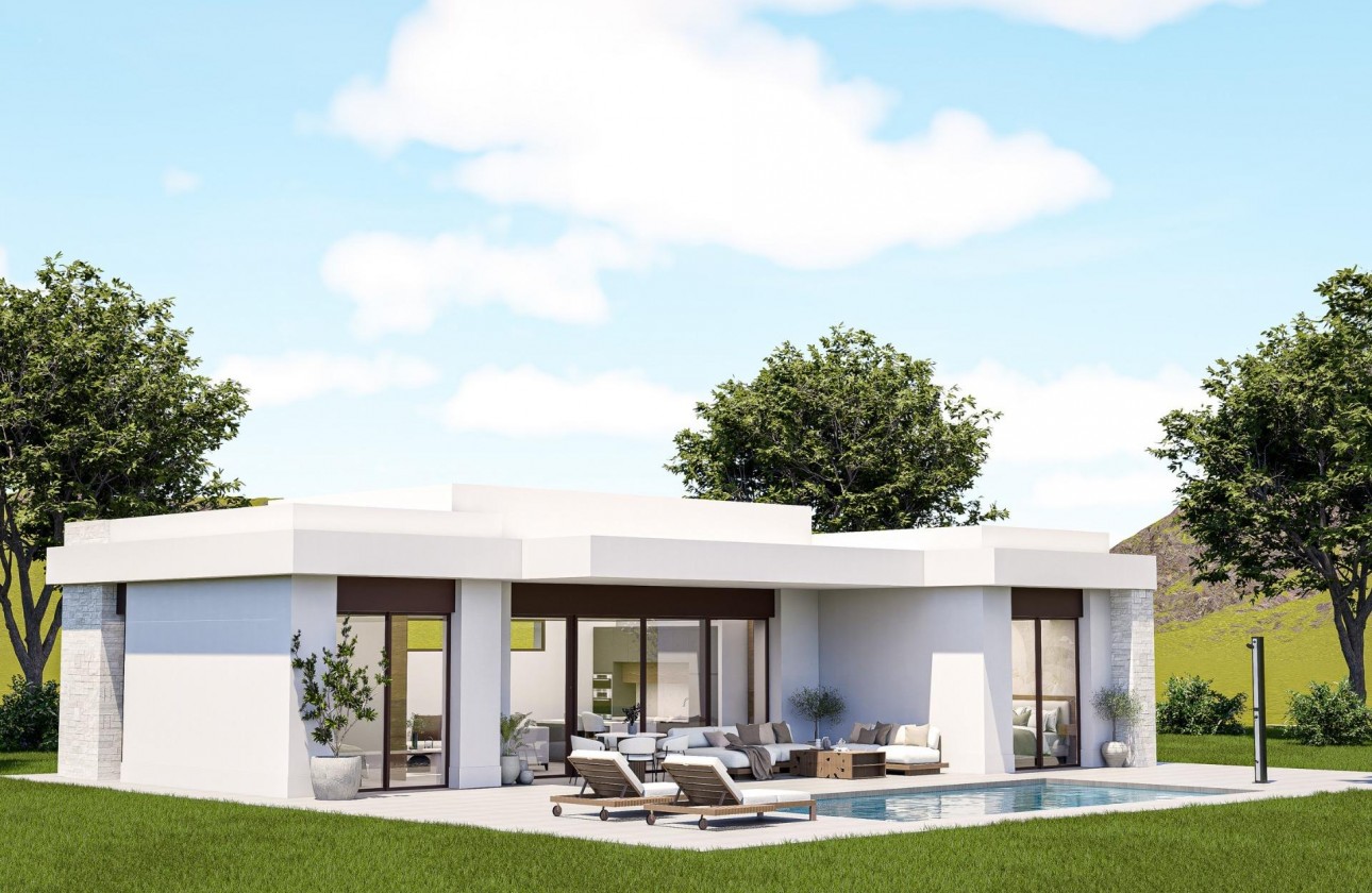 Nouvelle construction - Villa - Pinoso - Lel
