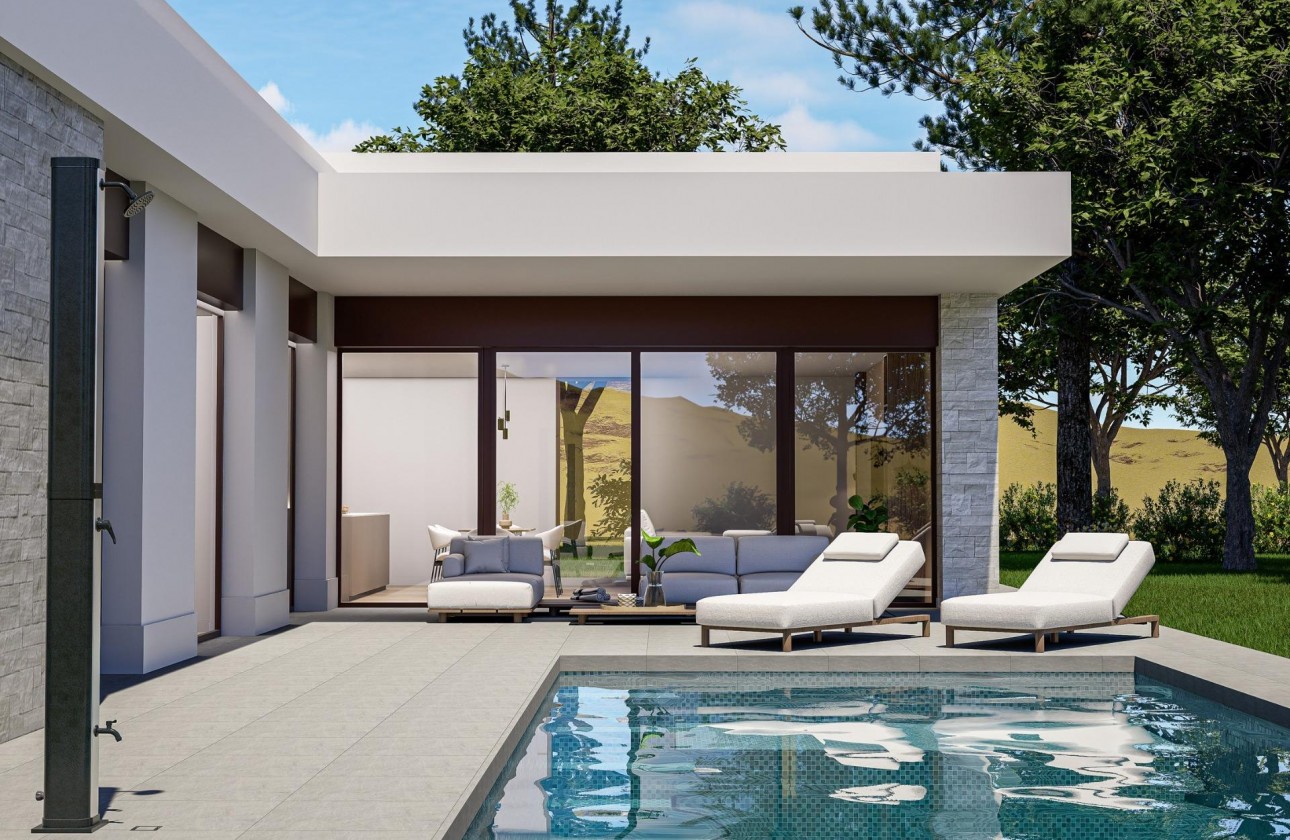 Nouvelle construction - Villa - Pinoso - Lel