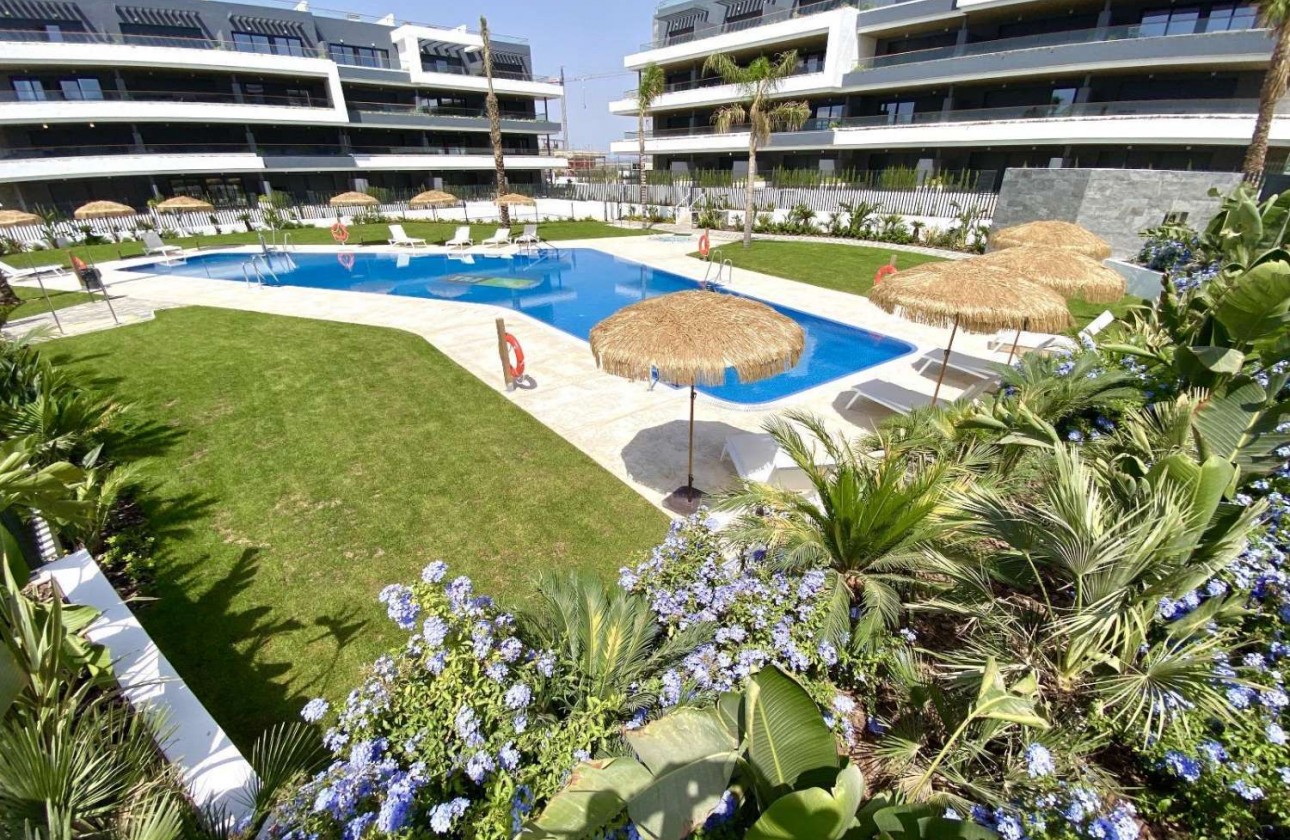 Obra nueva - Apartamento - Orihuela Costa - Playa Flamenca
