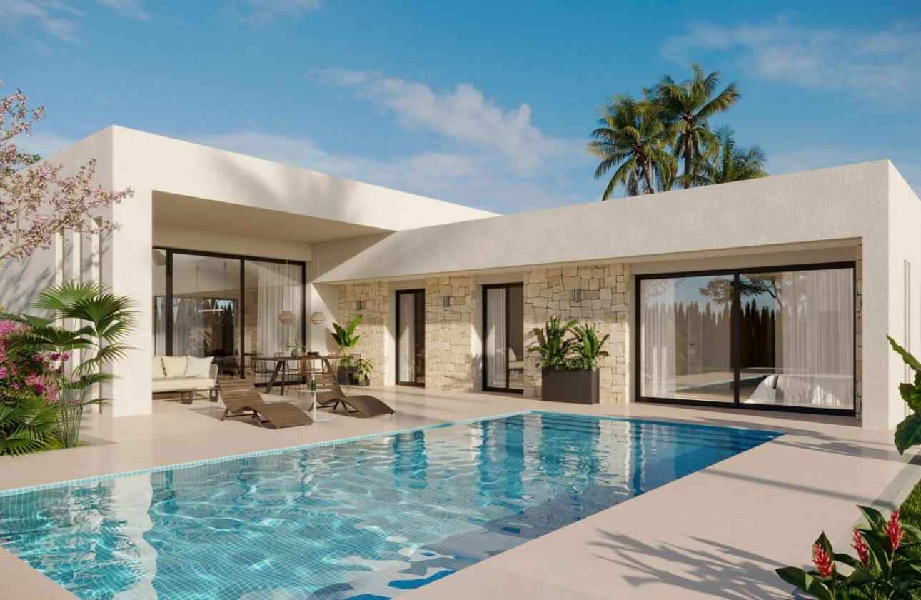 Obra nueva - Chalet - Aspe - Poligono 19