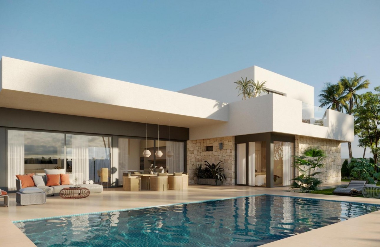 Obra nueva - Chalet - Aspe - Poligono 19