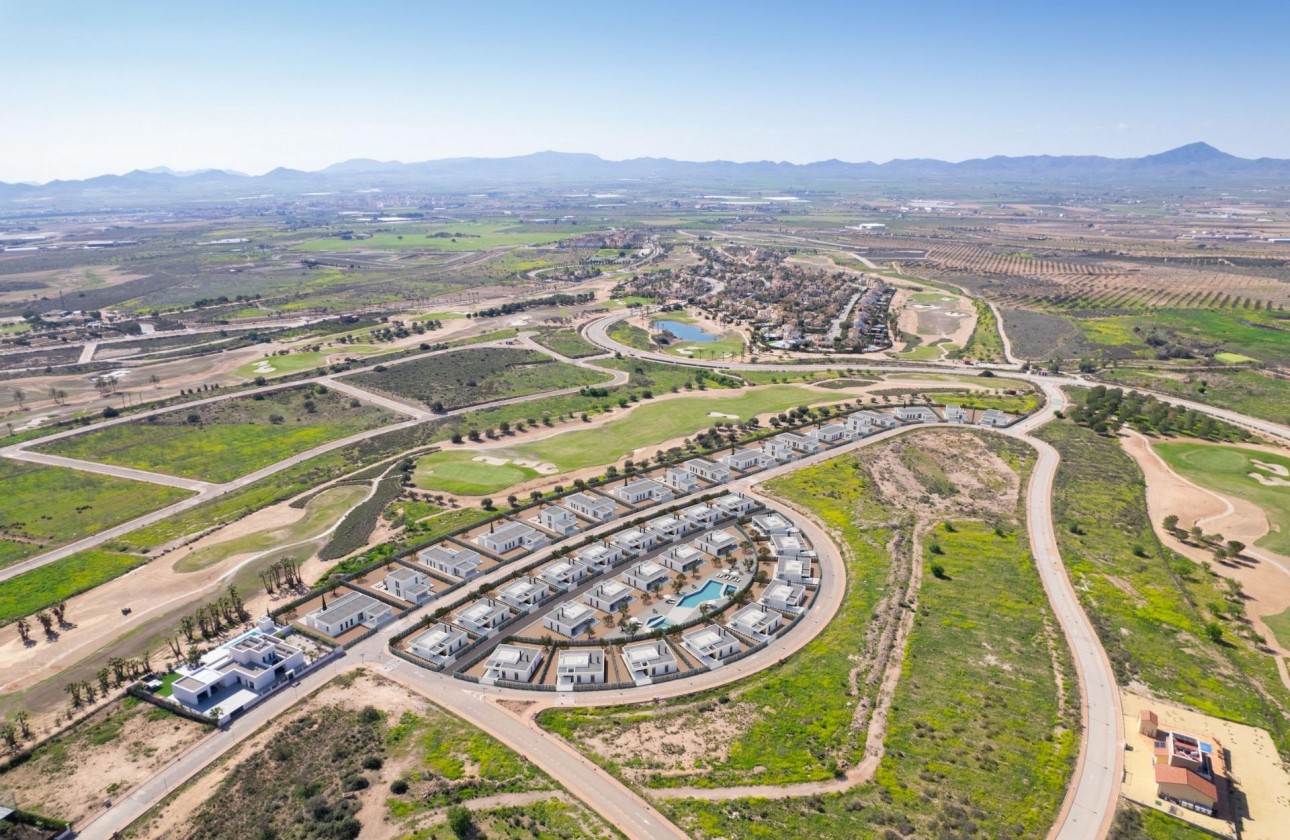 Obra nueva - Chalet - Fuente alamo de Murcia - Fuente Álamo
