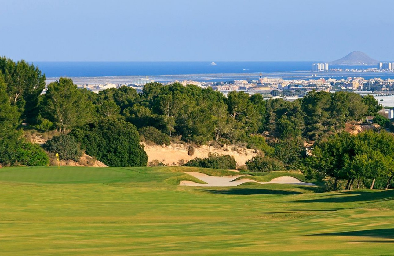 Obra nueva - Chalet - Pilar de la Horadada - Lo Romero Golf