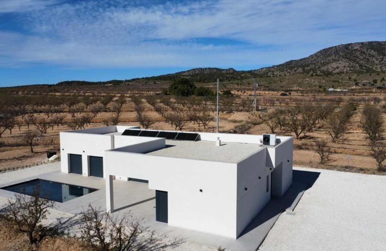 Obra nueva - Chalet - Pinoso - Campo