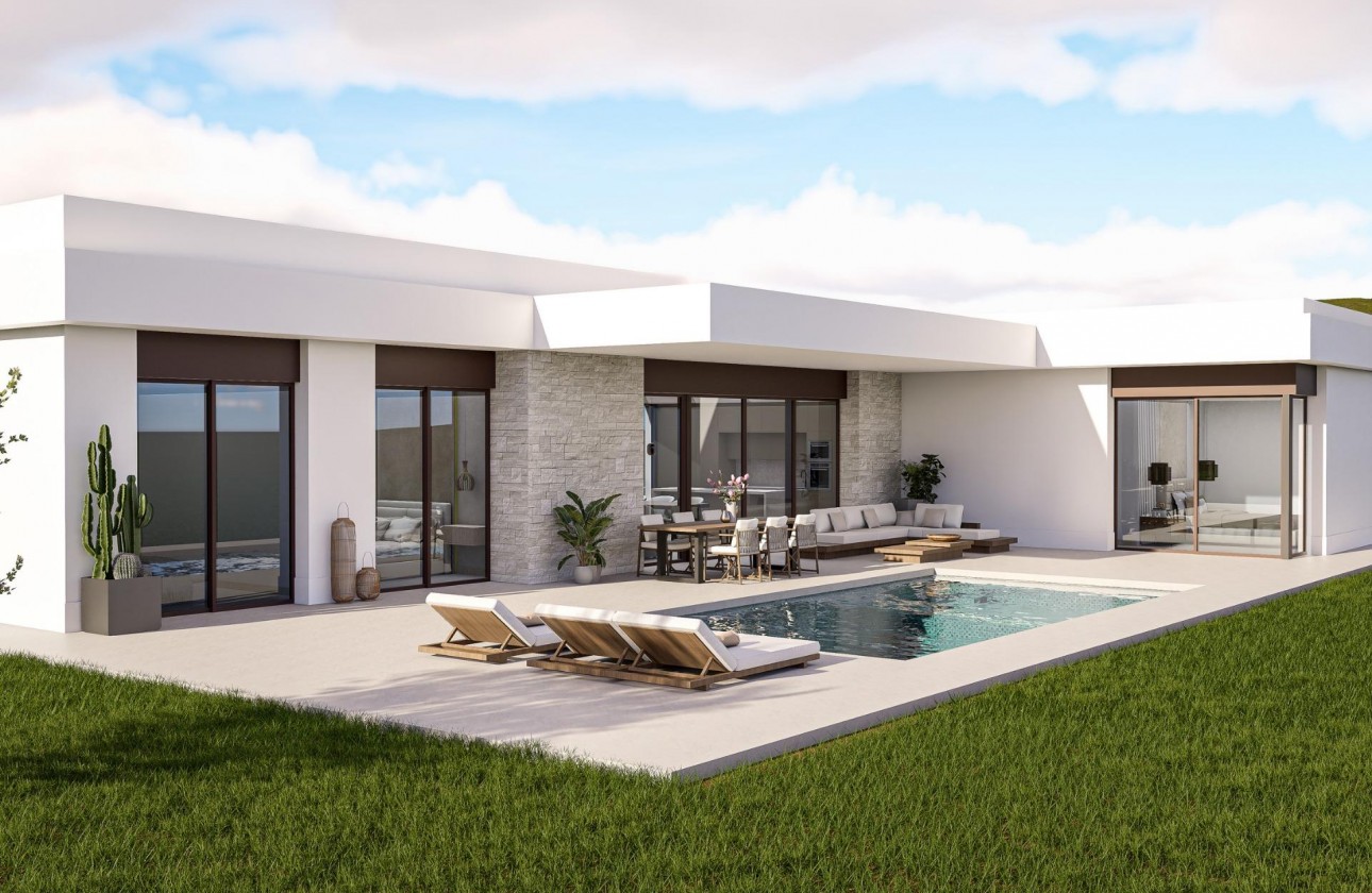 Obra nueva - Chalet - Pinoso - Lel