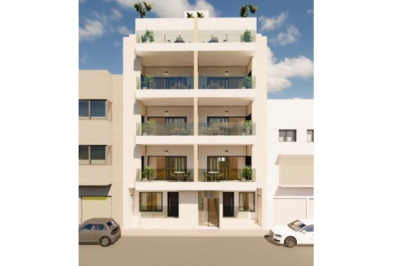 Other - Obra nueva - Guardamar del Segura - 123N-79703