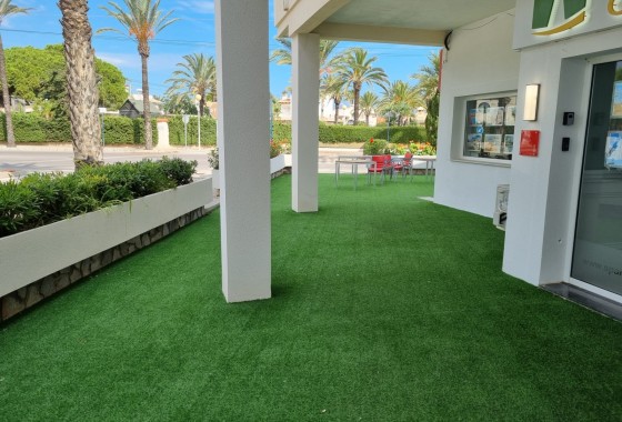 Parcela - Segunda Mano - Orihuela Costa - Cabo Roig