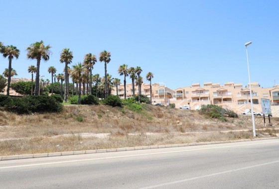 Parcela - Segunda Mano - Torrevieja - Cabo cervera