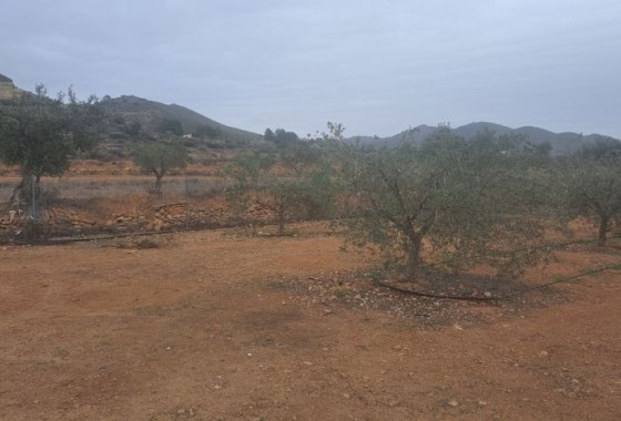 Plot - Resale - Hondón de las Nieves - Hondón de las Nieves