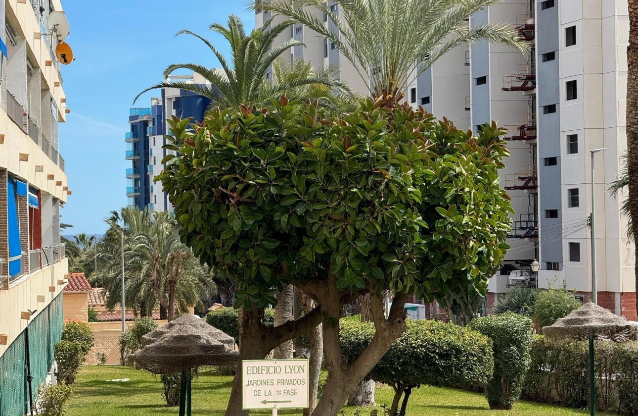 Resale - Apartment - Orihuela Costa - Rocio del Mar