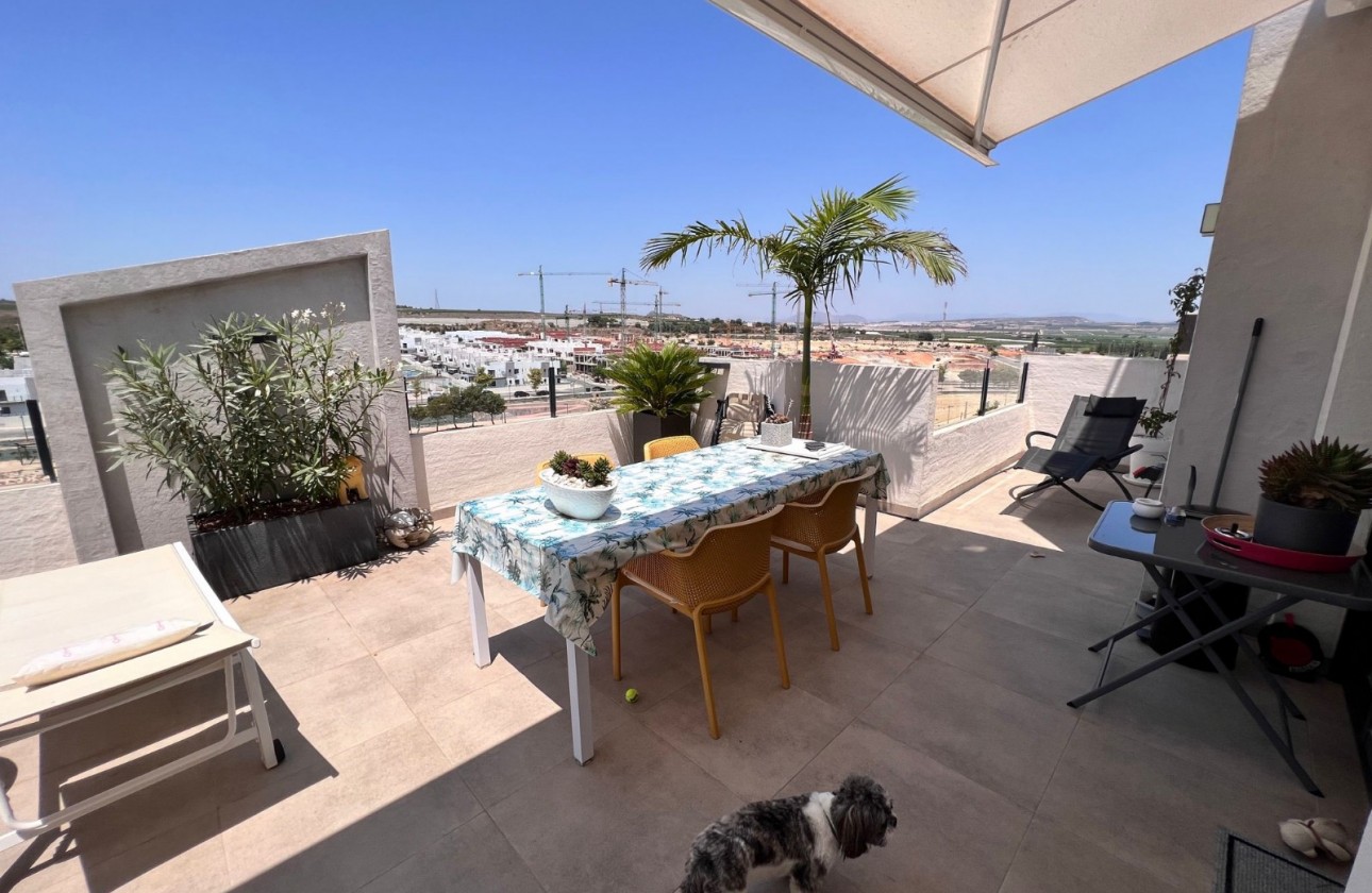 Resale - Apartment - San Miguel de Salinas - San Miguel Salinas