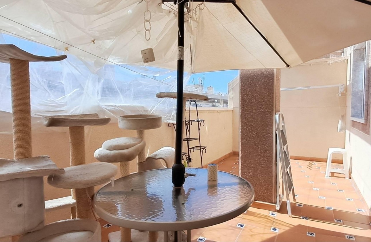 Resale - Apartment - Torrevieja - Parque de las Naciones