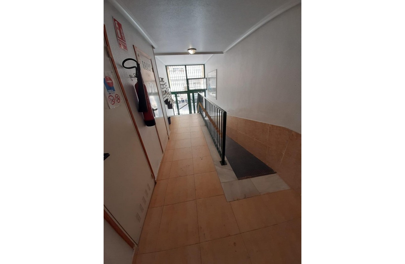 Resale - Apartment - Torrevieja - Playa de los locos