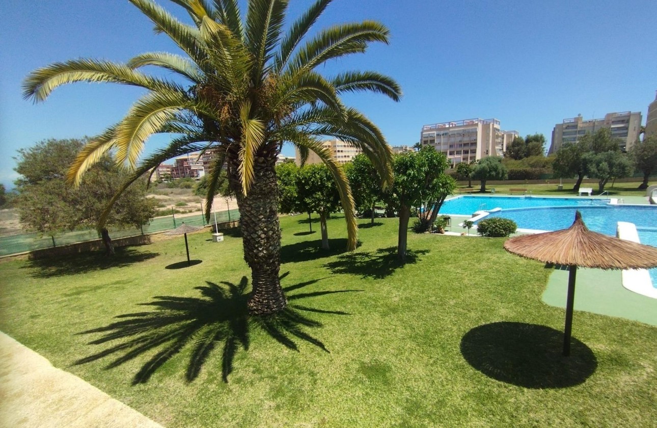 Resale - Bungalow - Torrevieja - Torreblanca