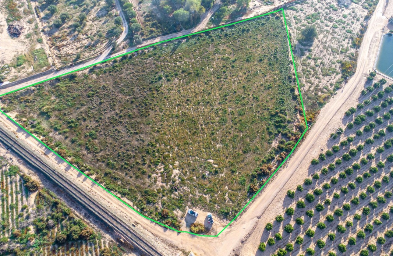 Resale - Country land - Crevillent - Comunidad valenciana