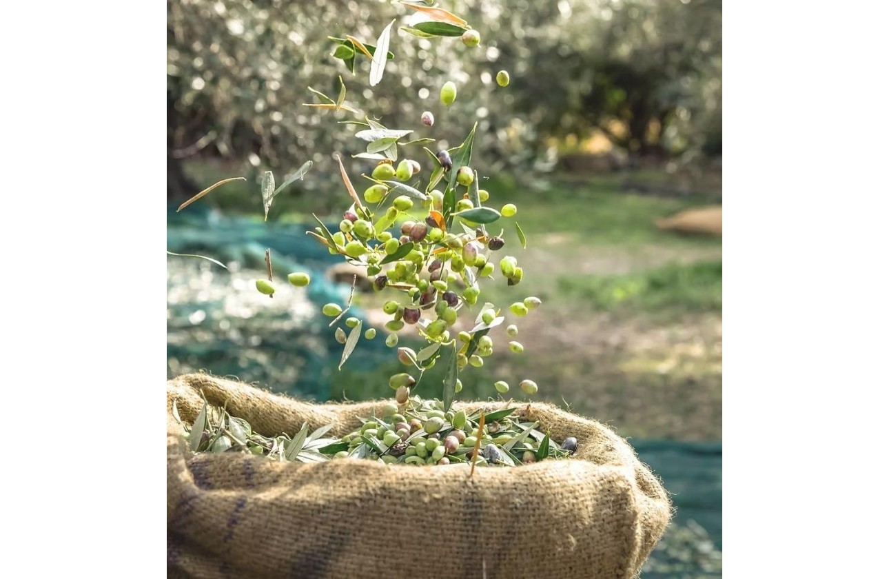 Resale - Country Property - Murcia - Rincón de Seca