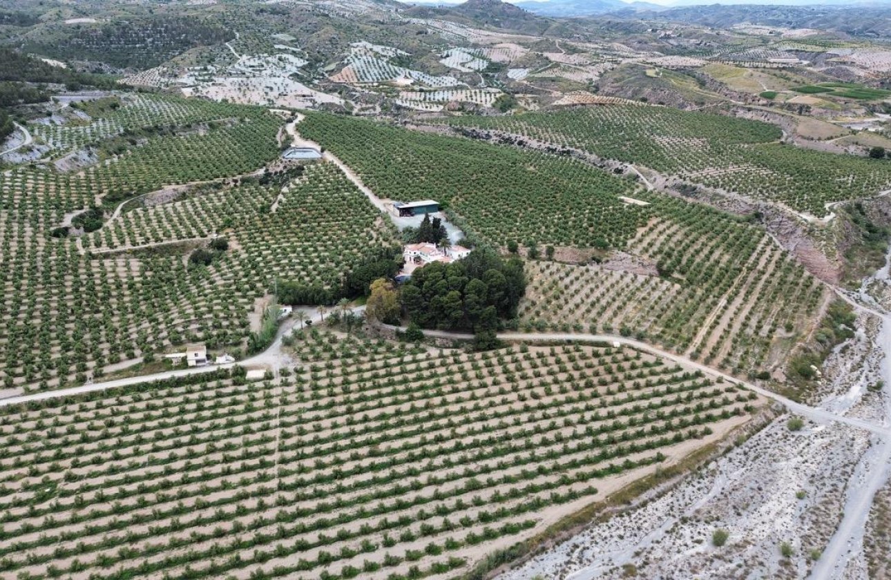 Resale - Country Property - Murcia - Rincón de Seca