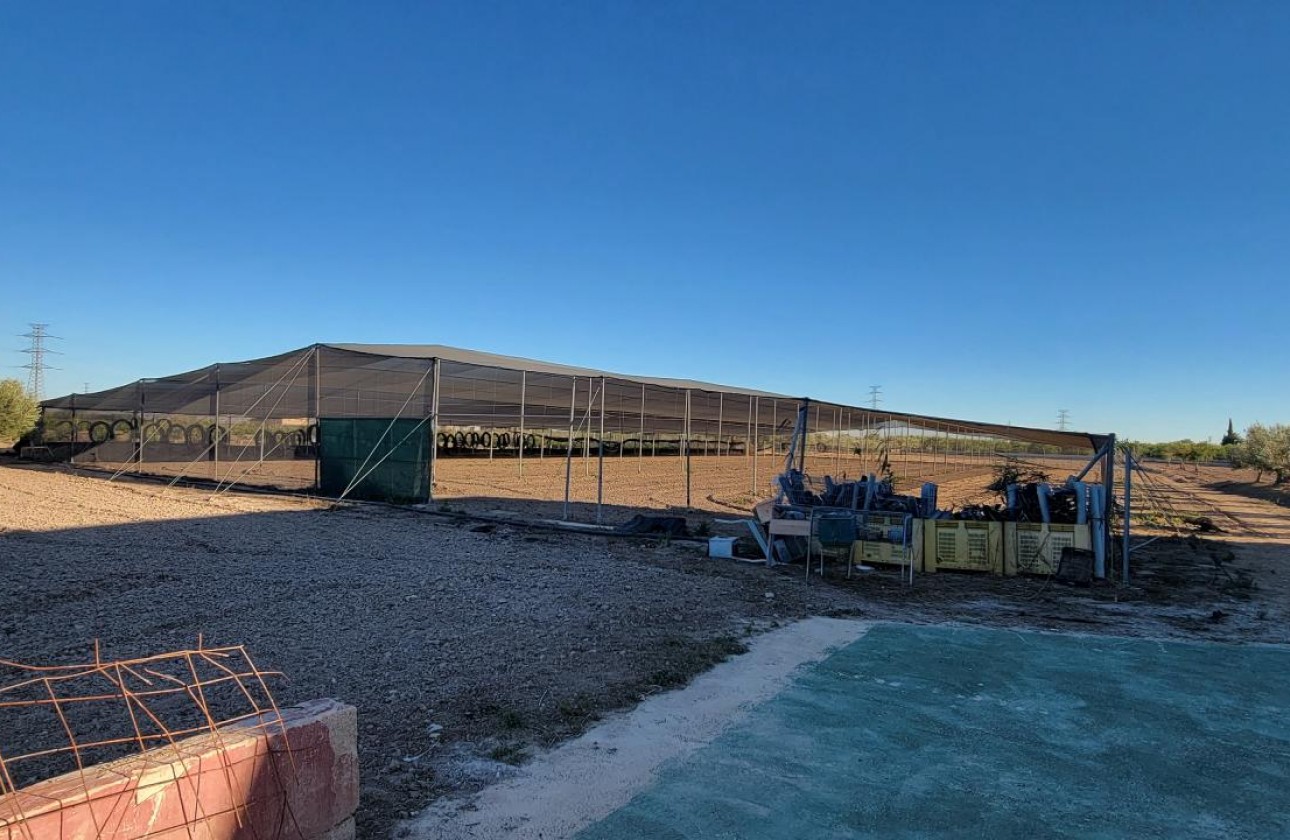 Resale - Country Property - San Miguel de Salinas