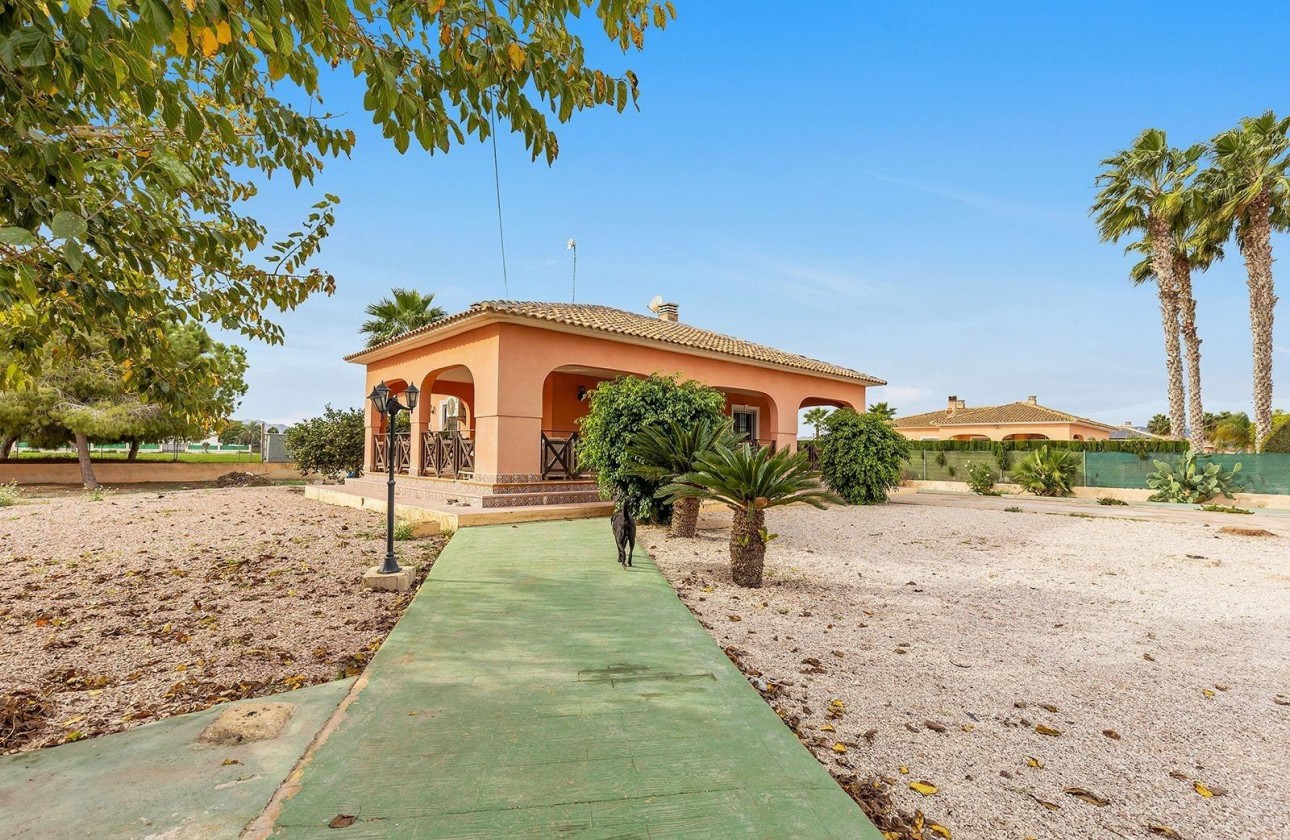 Resale - Detached Villa - Dolores - Comunidad valenciana